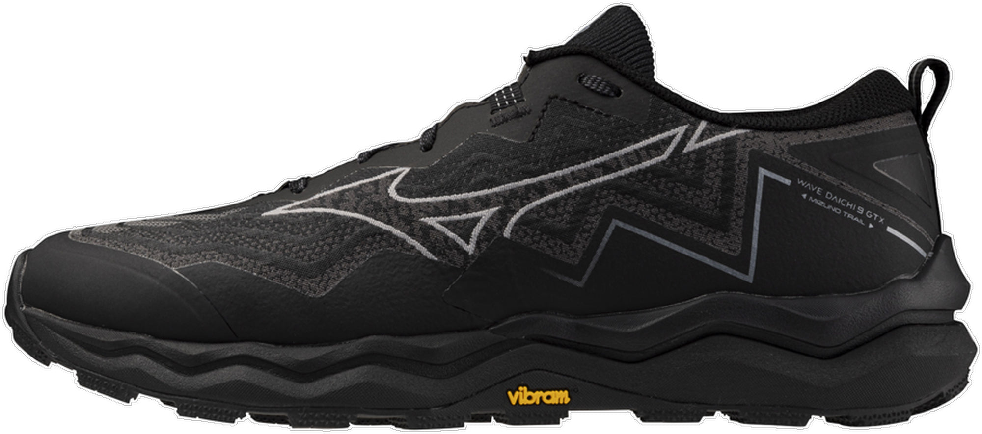 Running Shoe Mizuno Wave Rider Review Mizuno Wave Daichi GORE-TEX