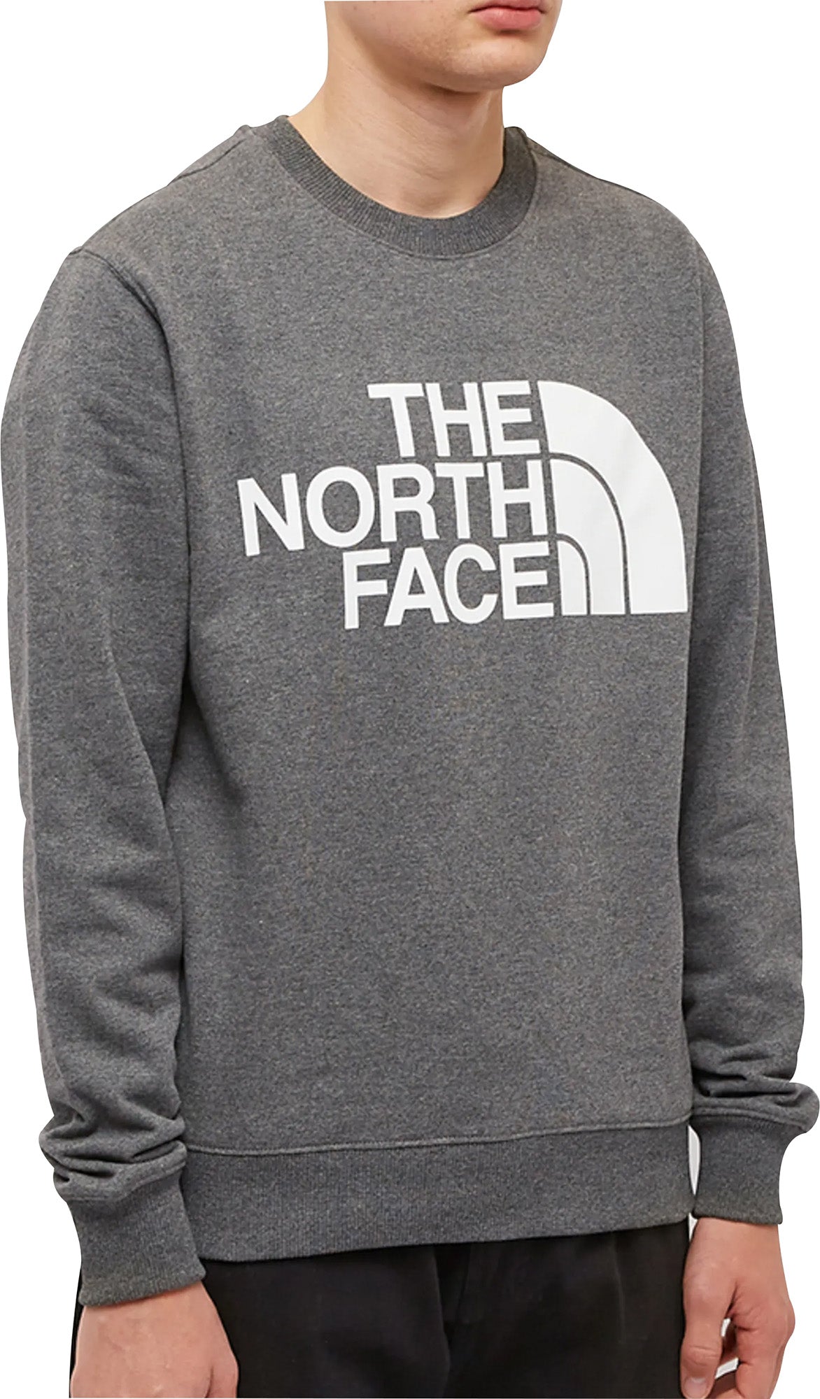THE NORTH FACE STANDARD スウェット W CITY STANDARD CREW | The North Face | The North Face Renewed