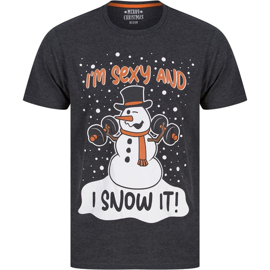 Christmas Snow It Short Sleeve  Grey
