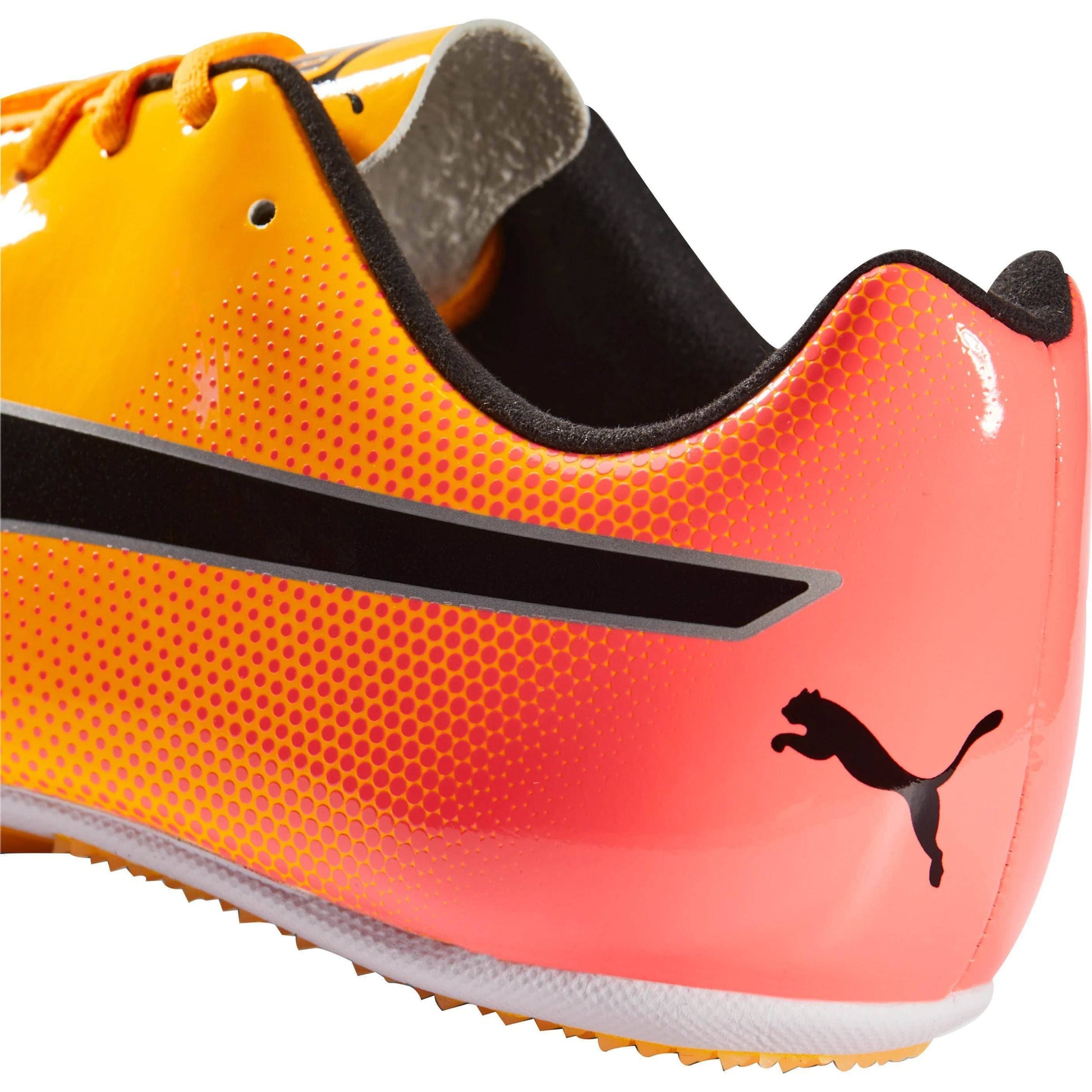 Puma Evospeed Sprint Details