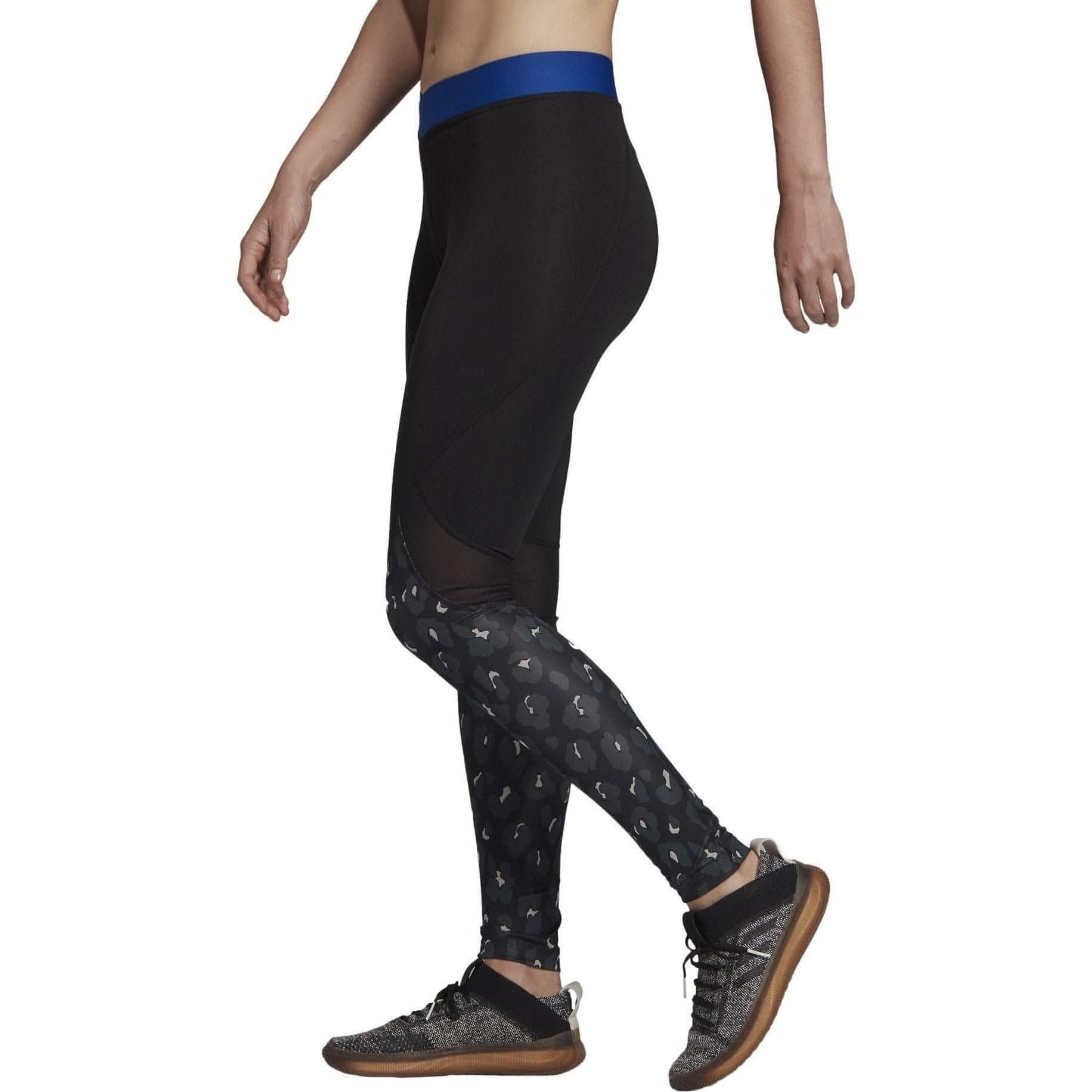 adidas AlphaSkin Iteration Womens Long Training Tights - Black - Start Fitness