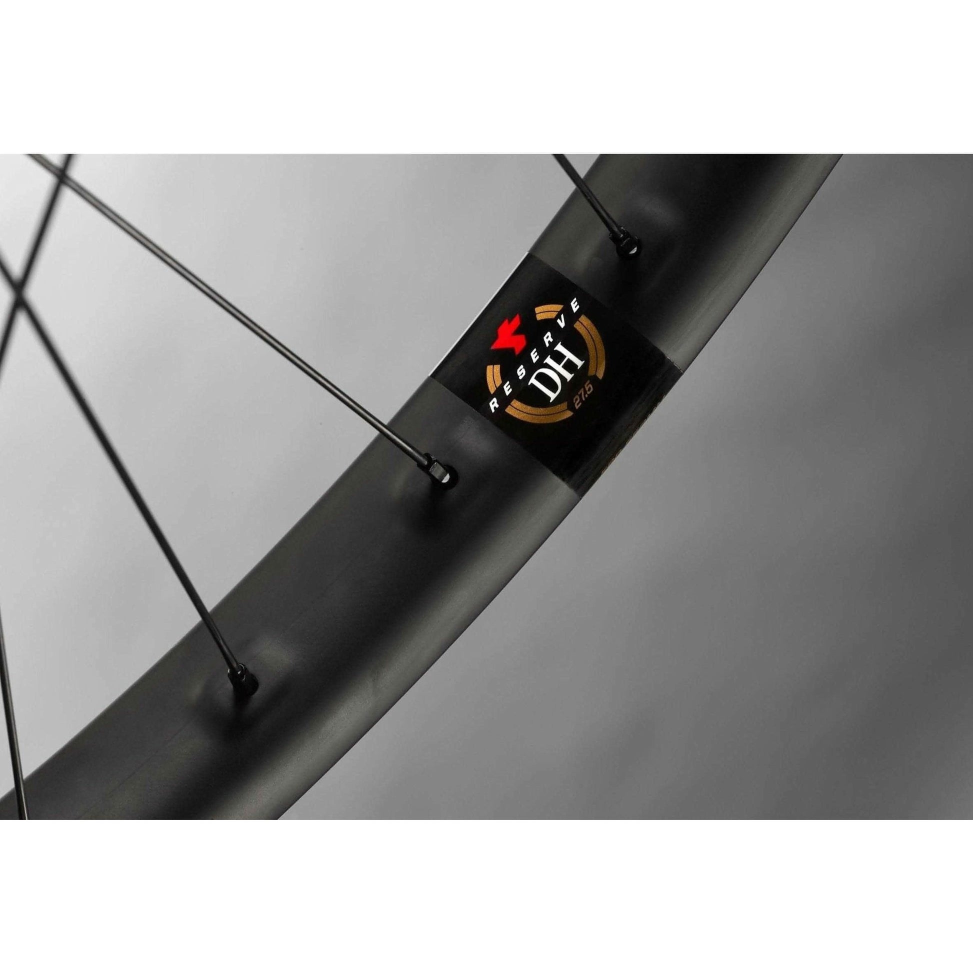 Reserve DH Carbon Mountain Bike Wheelset - Chris King - Start Fitness