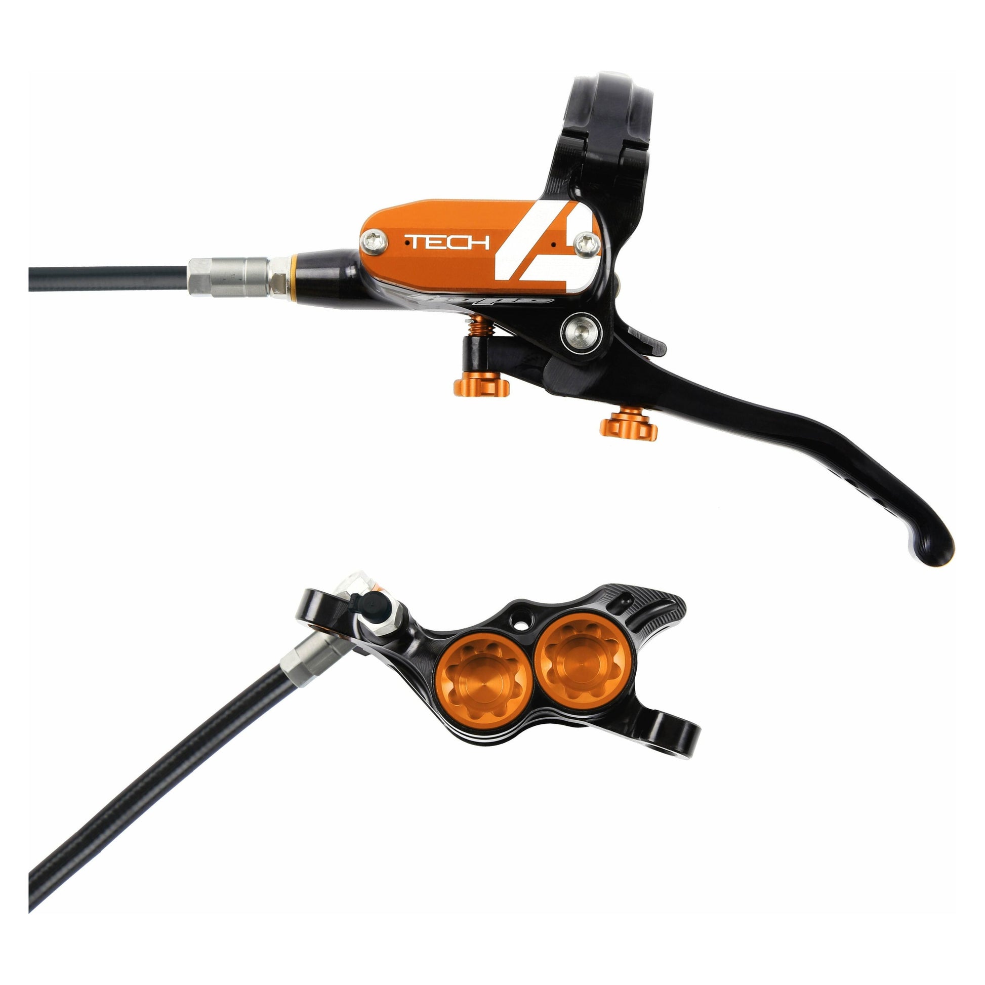 Web Black Orange