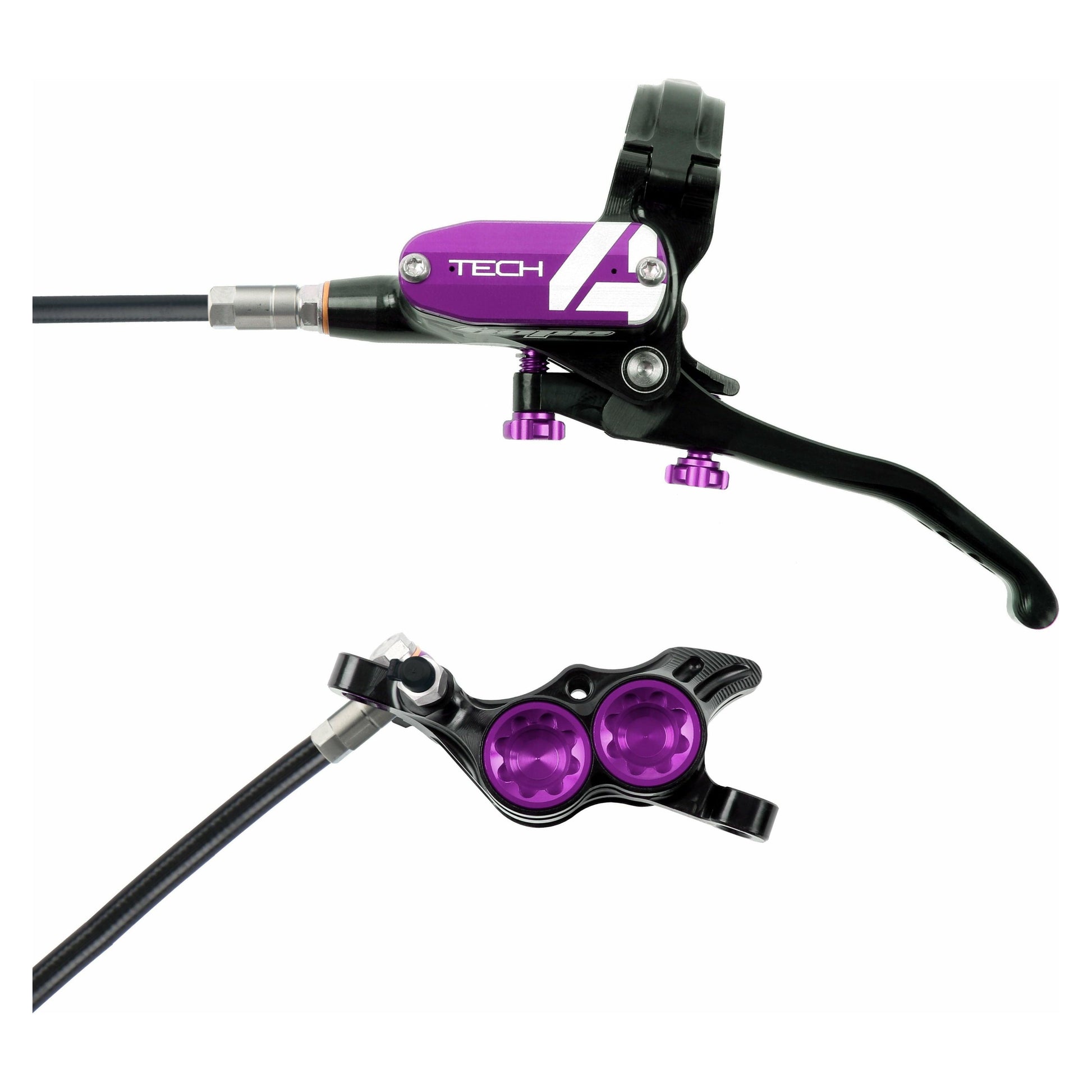 Web Black Purple