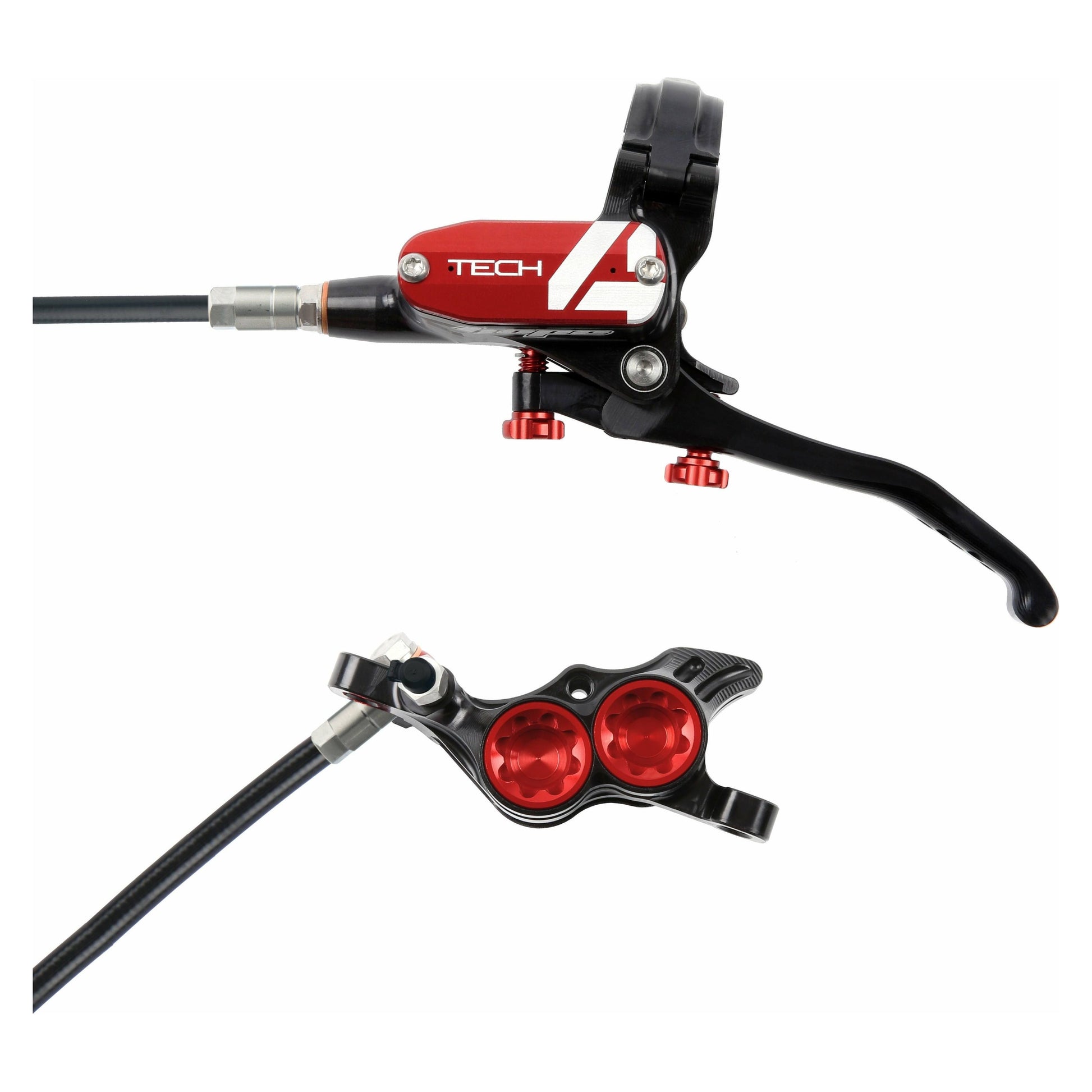 Web Black Red