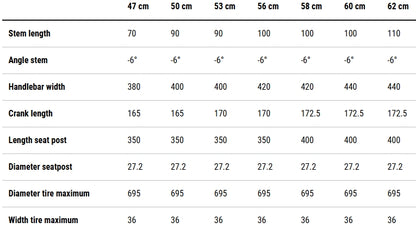 Cube Attain C:62 Race Carbon Road Bike 2027 - Carbon