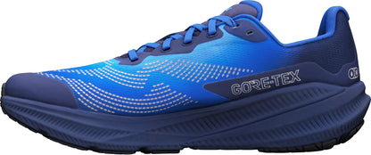 Altra Experience Flow 3 GORE-TEX Mens Running Shoes - Blue