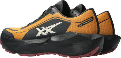 Asics NovaBlast 6 GORE-TEX Mens Running Shoes - Orange