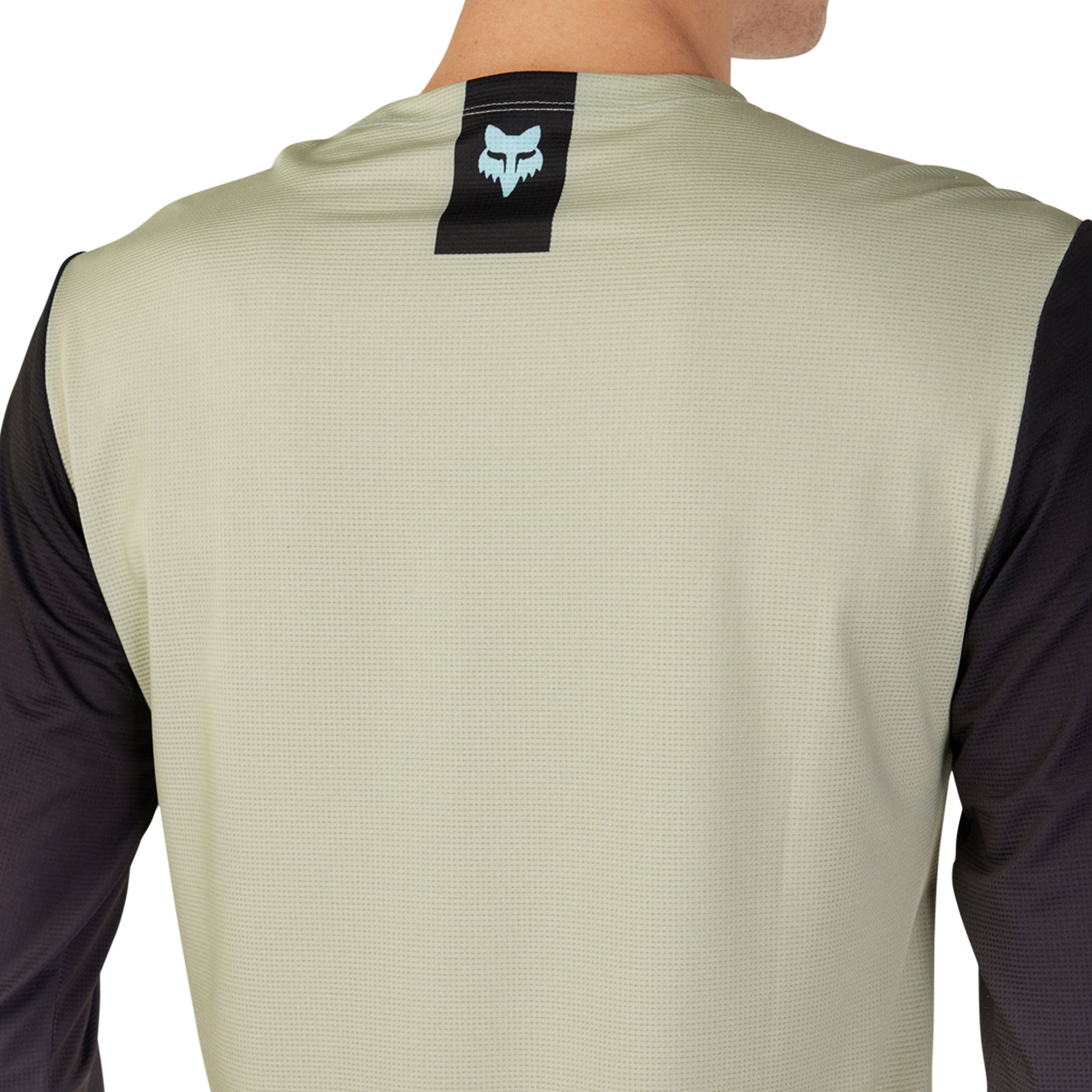 Fox Flexair Arcadia Long Sleeve Jersey Back View