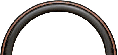 Hutchinson Blackbird Tubeless Ready Road Tyre - Tan
