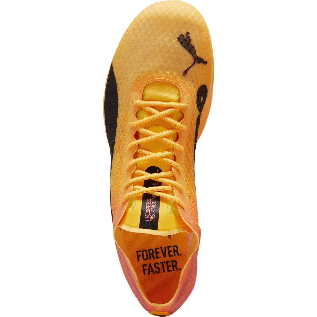 Puma evoSpeed Distance Nitro Elite + 4 Running Spikes - Orange – Start ...