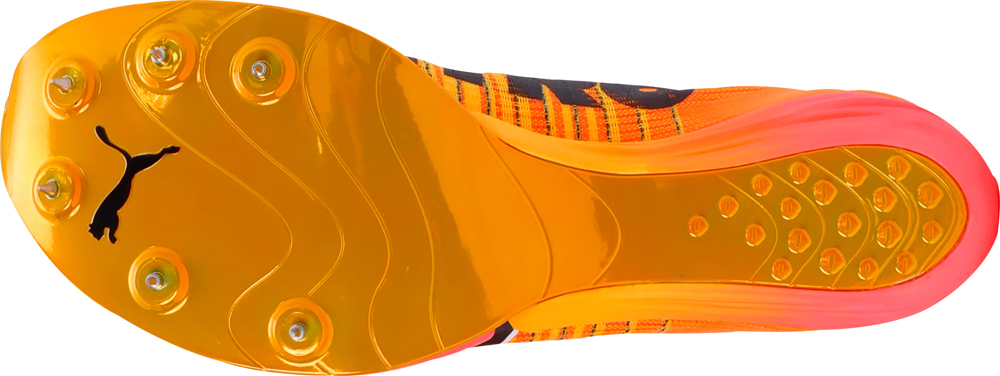 Puma-evoSpeed-Forte-Nitro-