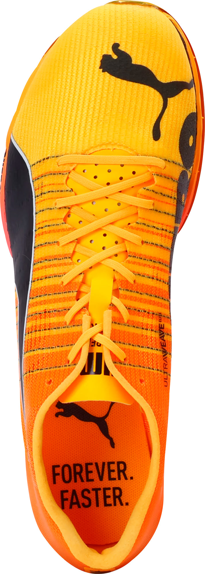 Puma evoSpeed Forte Nitro Elite Running Spikes - Orange – Start