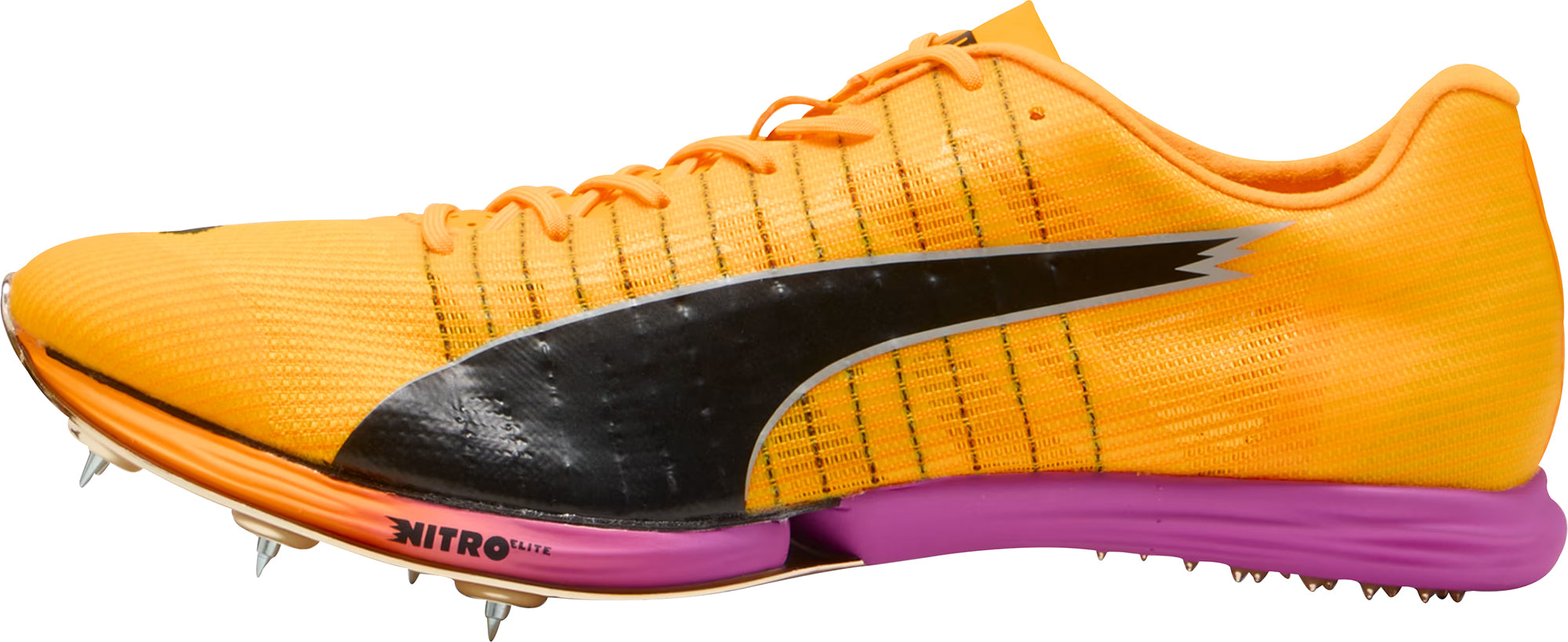 Puma evoSpeed Forte Nitro Elite Running Spikes - Orange – Start