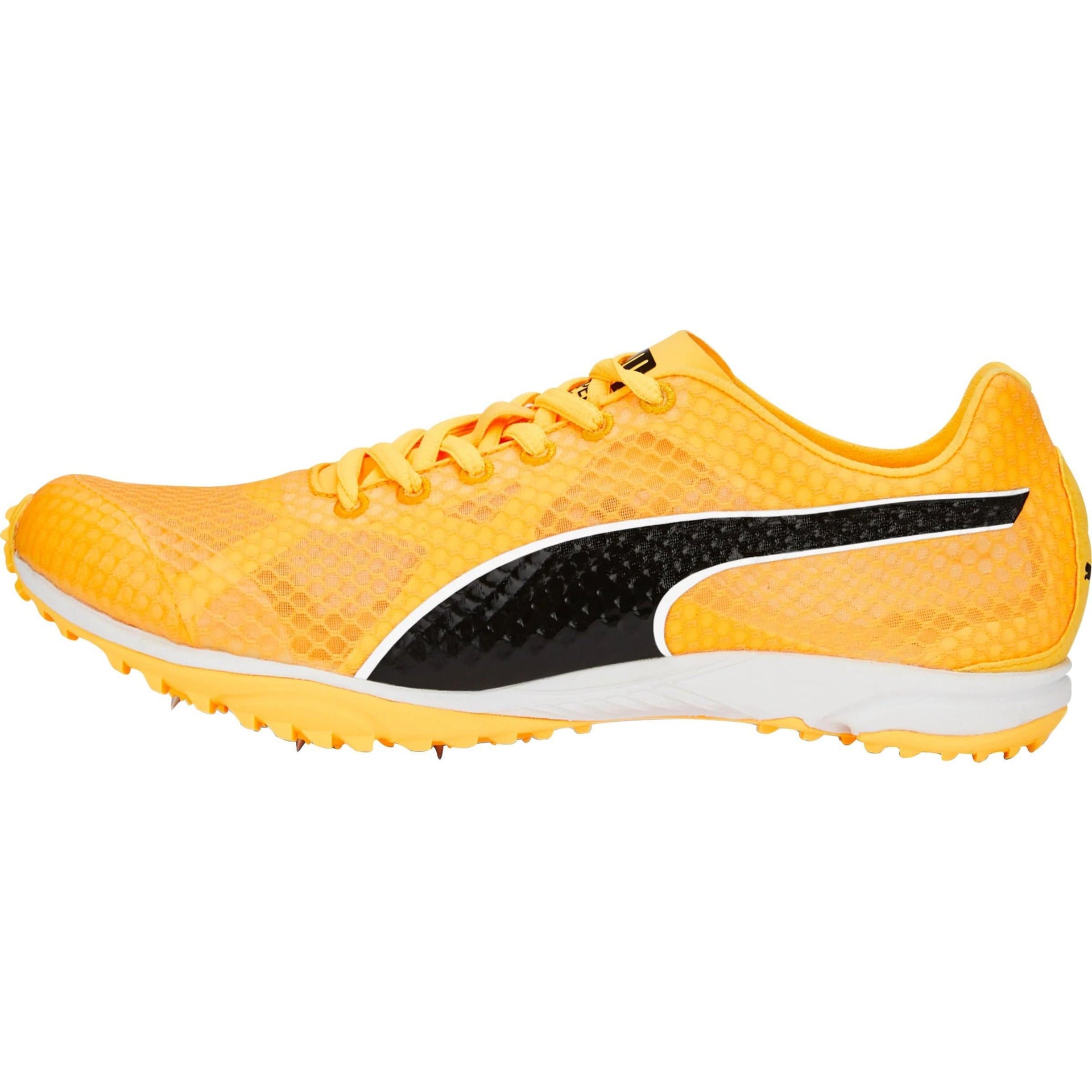 Puma evoSpeed Haraka Cross Country Spikes Orange – Start Fitness