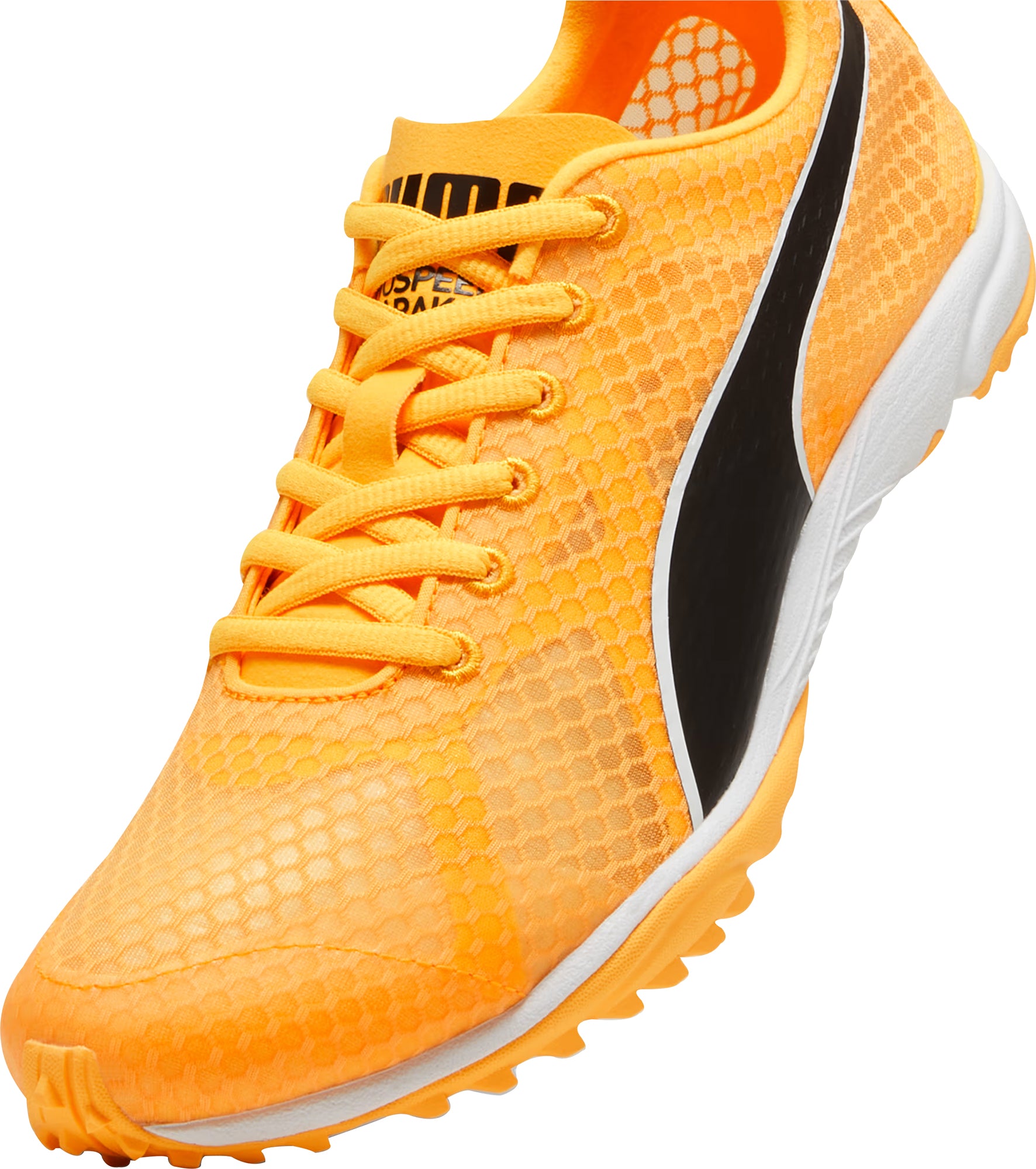 Papiko☆ Puma evoSpeed Haraka 8 Cross Country Spikes - Orange – Start Fitness