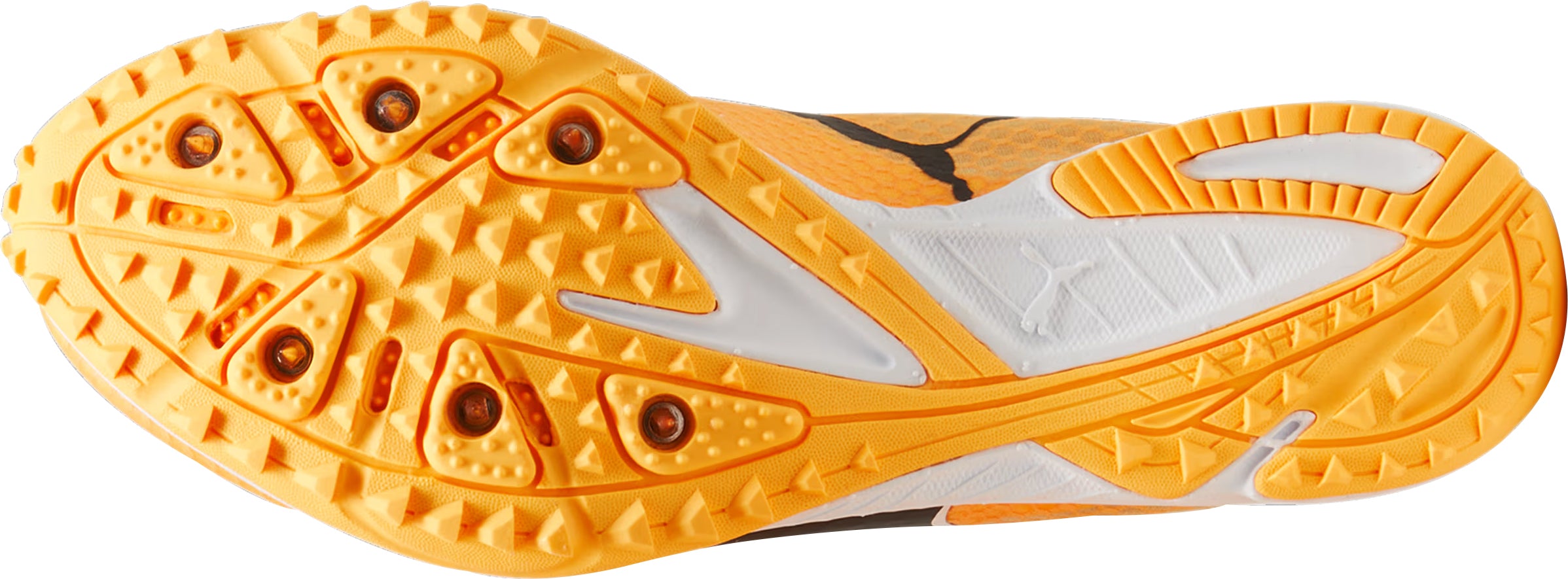 エモンガ Puma evoSpeed Haraka 8 Cross Country Spikes - Orange – Start Fitness