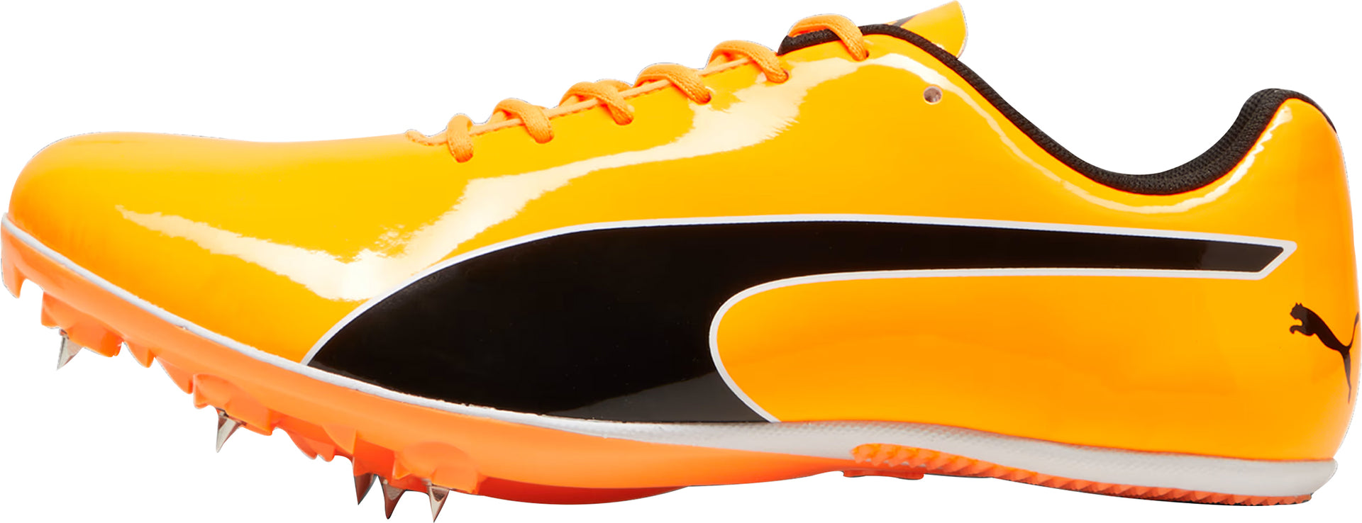 Puma evoSpeed Sprint Running Spikes Orange – Start Fitness