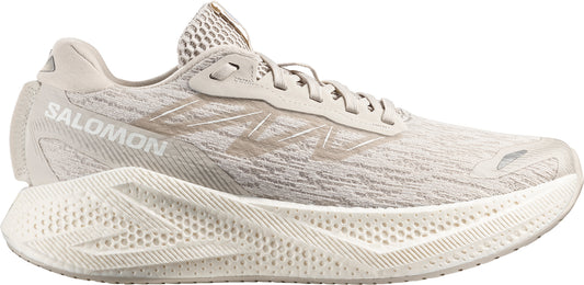 Salomon Aero Glide 4 Mens Running Shoes - Grey