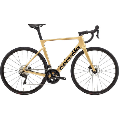 Cervelo Soloist 105 Carbon Road Bike 2024 - Gold Dust