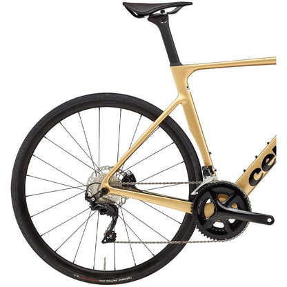 Cervelo Soloist 105 Carbon Road Bike 2024 - Gold Dust
