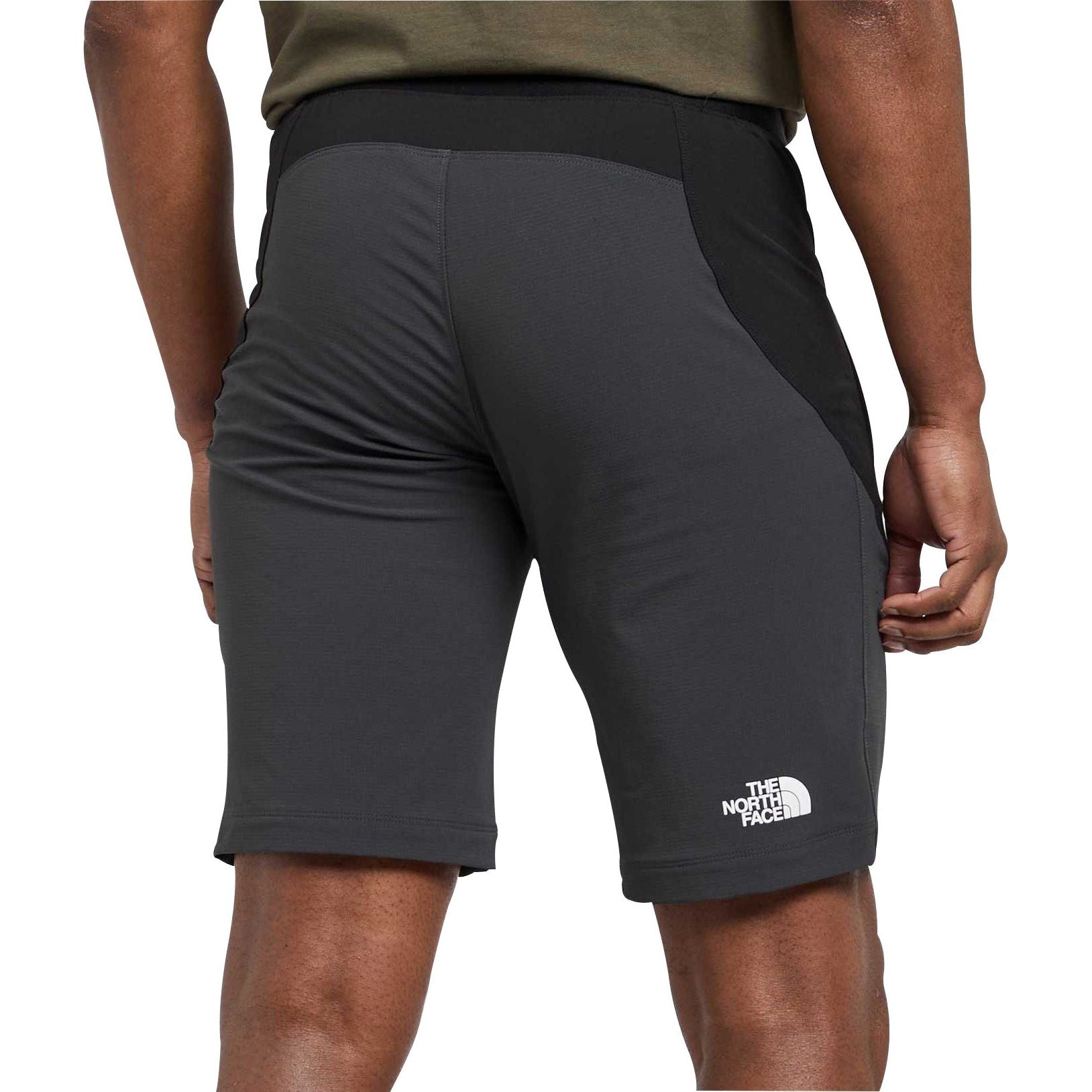 The North Face Circadian Alpine Shorts Nf0A5Impkt0 Back View