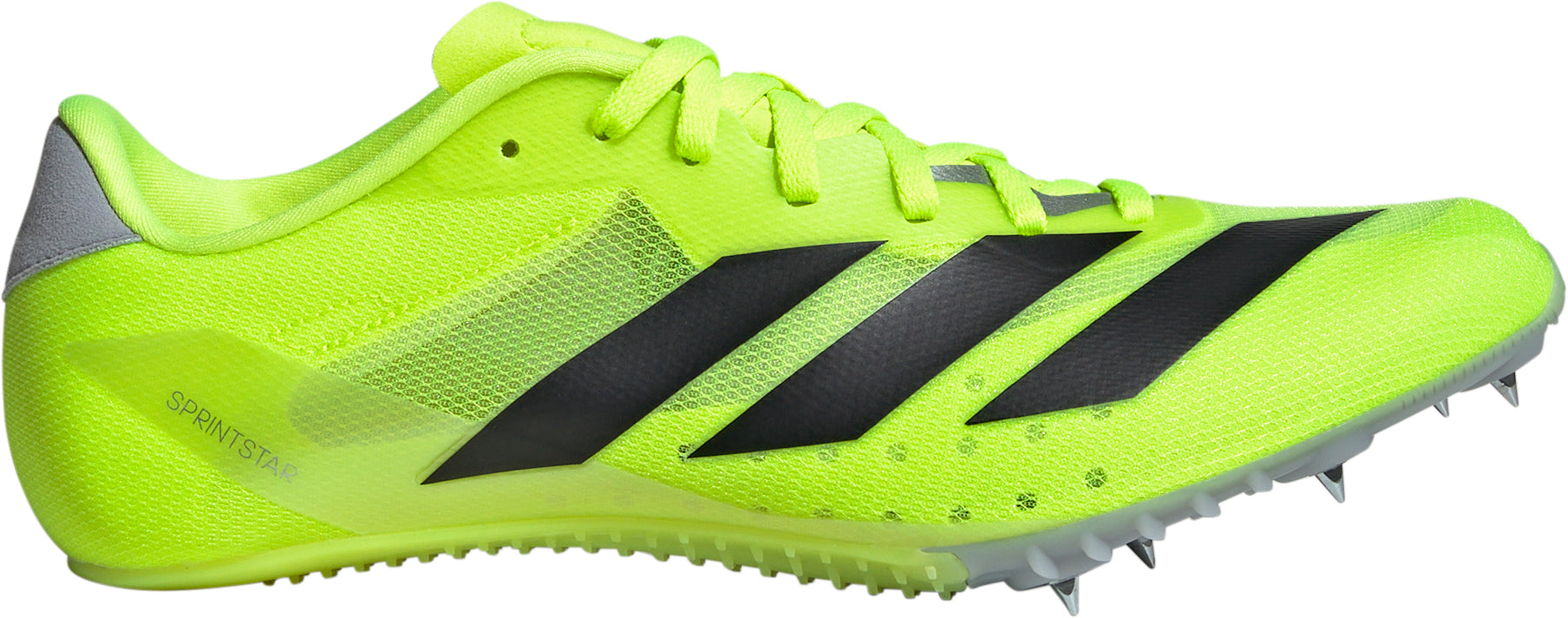 new adidas sprint spikes