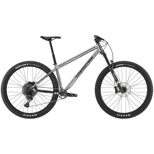 Transition TransAm Steel Mountain Bike 2024 - Chrome