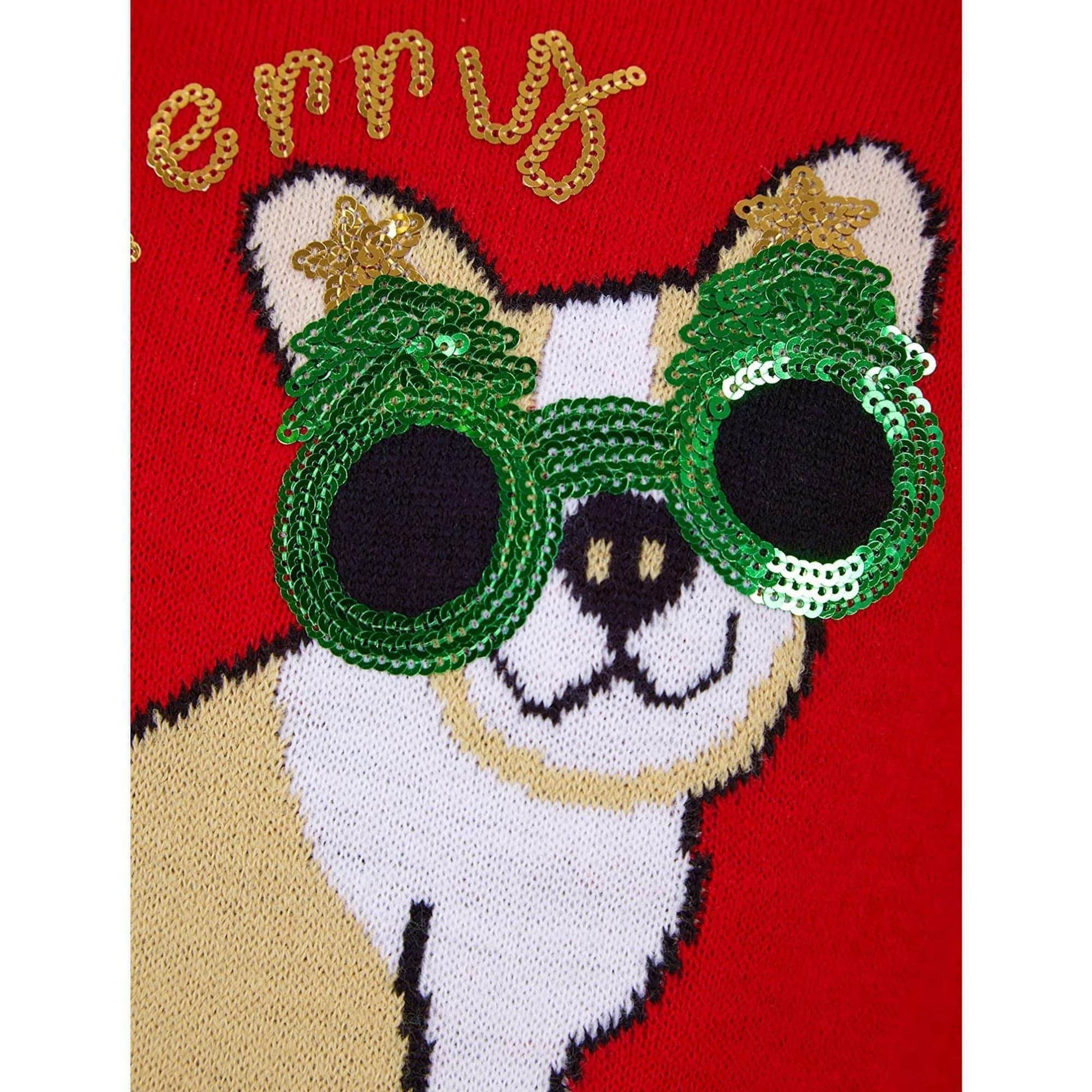 Christmas Glasses Dog Jumper  Red Details