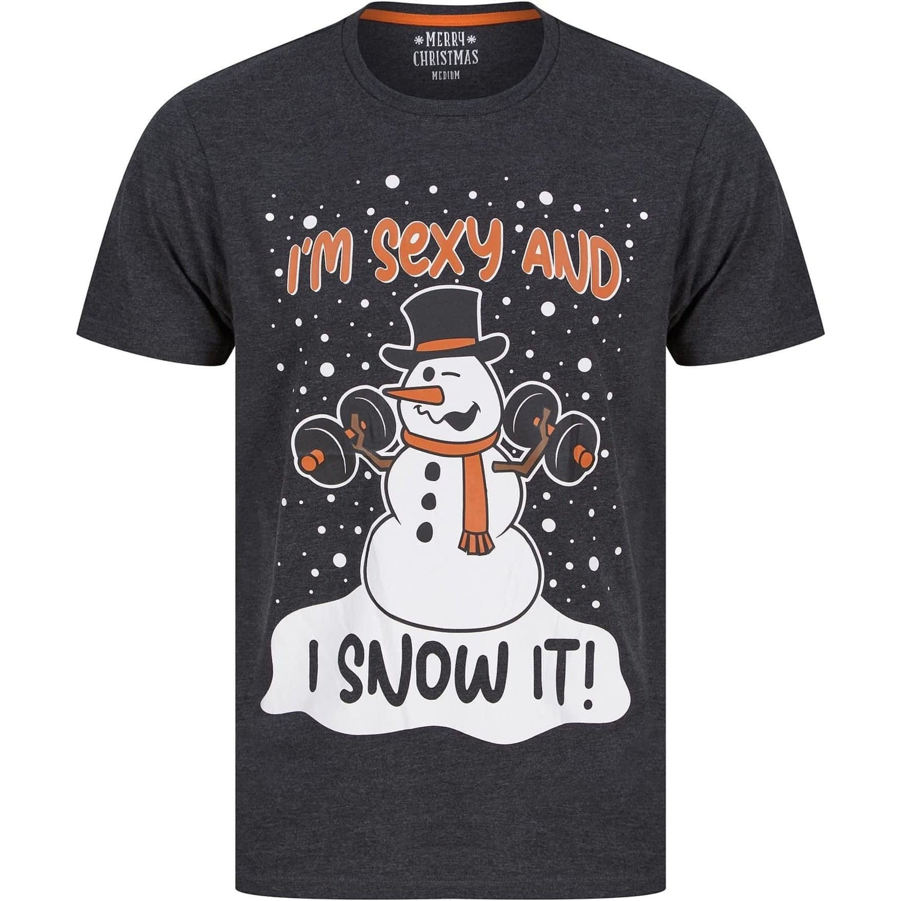 Christmas Snow It Short Sleeve  Grey