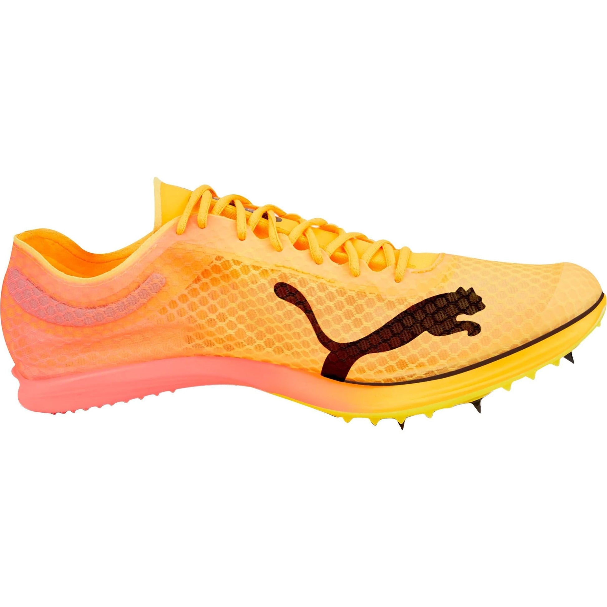 Puma evoSpeed Distance Nitro Elite Running Spikes Orange